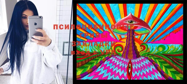 амф Медногорск