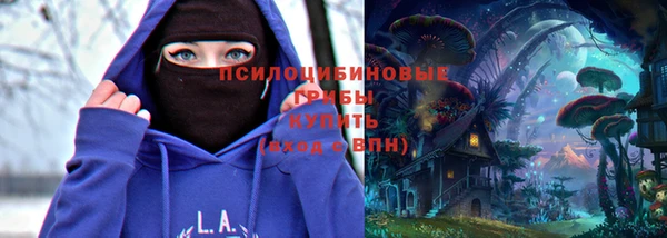 a pvp Мегион